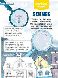 Billa Flugblatt Seite 12