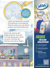 Billa Flugblatt Seite 13