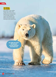 Billa Flugblatt Seite 22