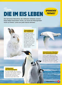 Billa Flugblatt Seite 23