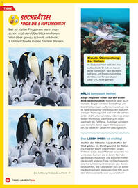 Billa Flugblatt Seite 24