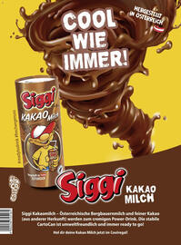 Billa Flugblatt Seite 44