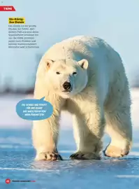 Billa Flugblatt Seite 22