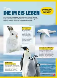 Billa Flugblatt Seite 23