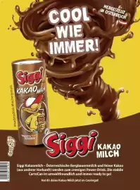 Billa Flugblatt Seite 44