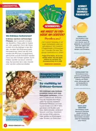 Billa Flugblatt Seite 8