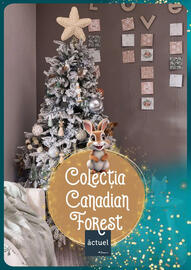 Catalog Auchan Pagină 6