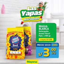 Catálogo Mayorsa Página 4