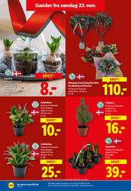 Lidl tilbudsavis uge 48 Side 13