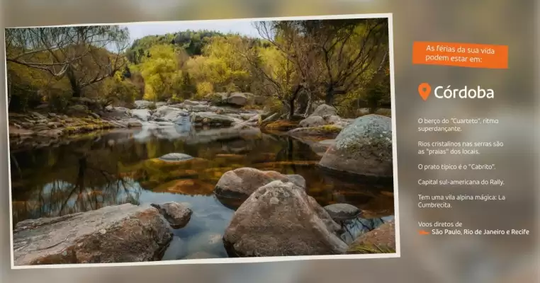 Catálogo Gol (válido até 30-11)