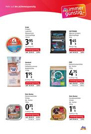 Dm Flugblatt Seite 11