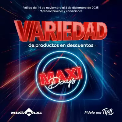 Catálogo Megamaxi (válido hasta 3-12)