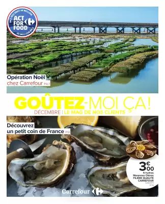 Catalogue Carrefour (valable jusqu'au 31-12)