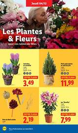 Catalogue Lidl semaine 49 page 42