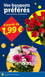 Catalogue Lidl semaine 49 page 44