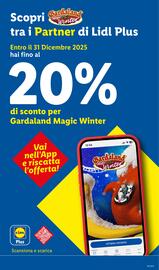 Volantino Lidl settimana 49 Pagina 37