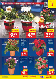 Netto Marken-Discount Prospekt Seite 7