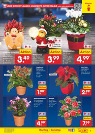 Netto Marken-Discount Prospekt Seite 7