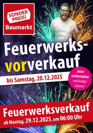 Sonderpreis Baumarkt Prospekt Seite 1