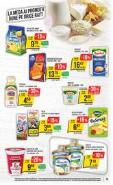 Catalog Mega Image săptămâna 48 Pagină 13