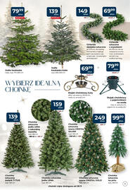 Mrówka gazetka Strona 5