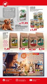 Zookauf Prospekt woche 48 Seite 8