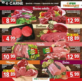 Volantino Iper Triscount Pagina 10