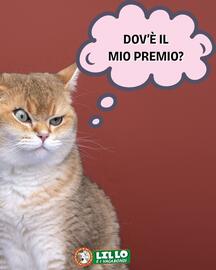 Volantino Lillo e i Vagabondi Pagina 1