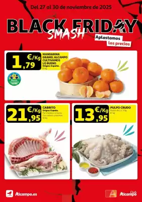Folleto Alcampo (válido hasta el 30-11)