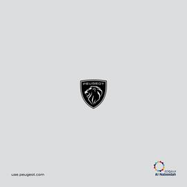 Peugeot catalogue Page 15