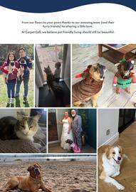 Carpet Call catalogue Page 14