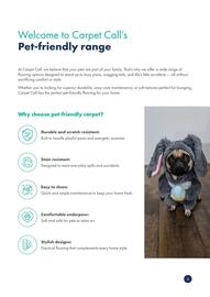 Carpet Call catalogue Page 2