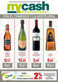 Folleto mycash profesional Página 1