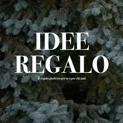 Folleto Terranova (válido hasta el 30-12)