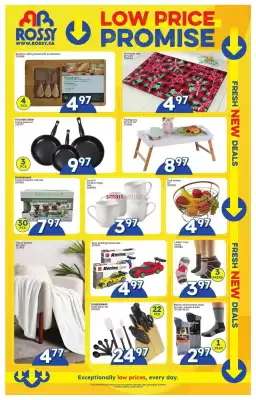 Rossy flyer (valid until 3-12)