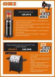 OBI Prospekt Seite 2