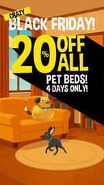 The Crazy Store catalogue Page 1