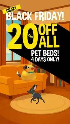 The Crazy Store catalogue (valid until 30-11)