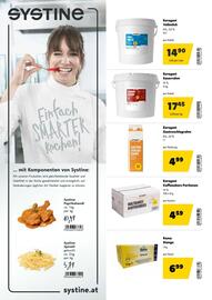 Eurogast Grissemann Flugblatt Seite 10