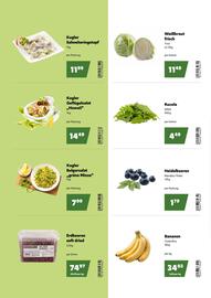 Eurogast Grissemann Flugblatt Seite 4