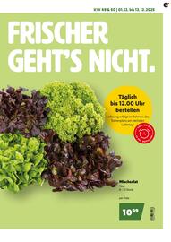 Eurogast Grissemann Flugblatt Seite 5