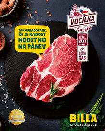 Billa leták Strana 49