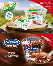 Billa leták Strana 93