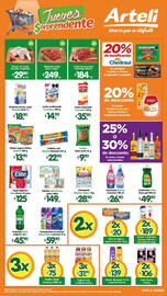 Folleto Arteli Página 1