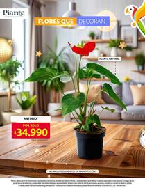 Catálogo Ara semana 48 Página 15