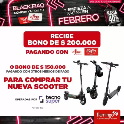 Catálogo Flamingo (válido hasta 30-11)