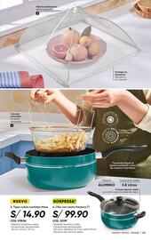 Catálogo Azzorti Página 241