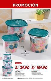 Catálogo Azzorti Página 244