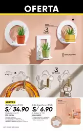 Catálogo Azzorti Página 218