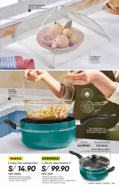 Catálogo Azzorti Página 241